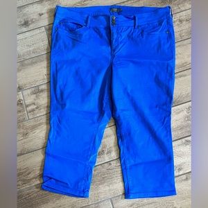 Torrid cropped jegging